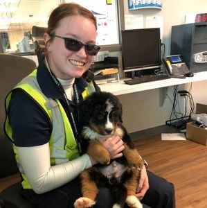 Meet your Posher, Kayla